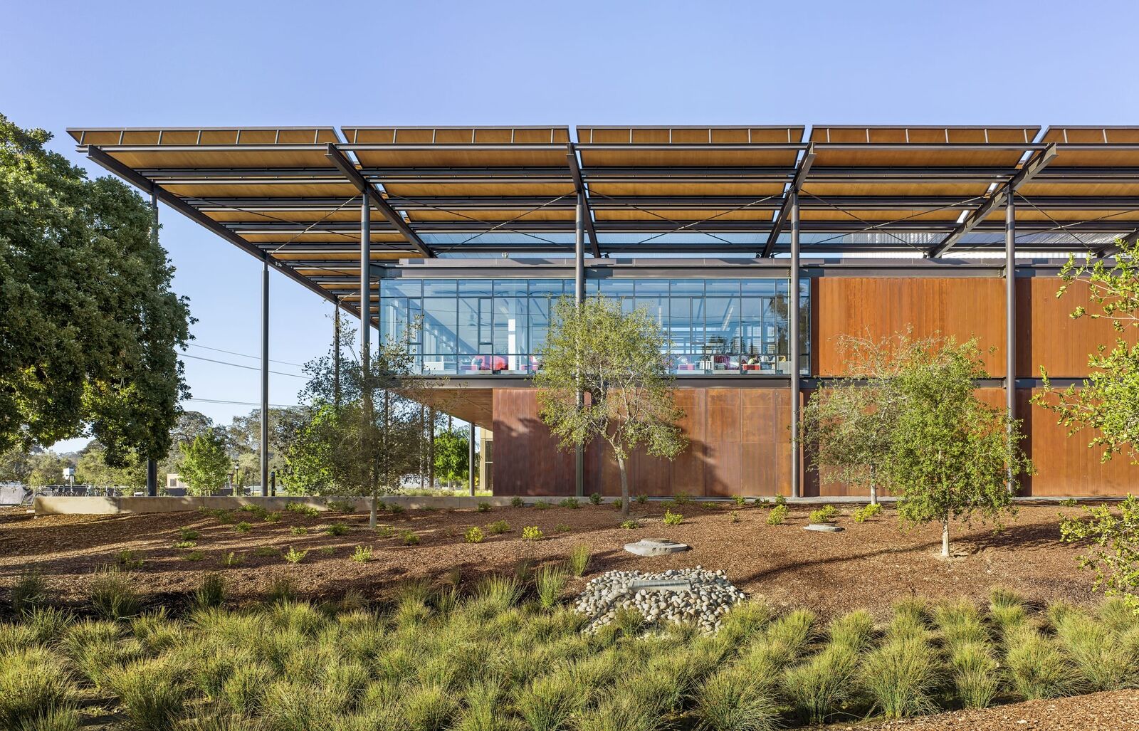 Plants growing outside the facility.