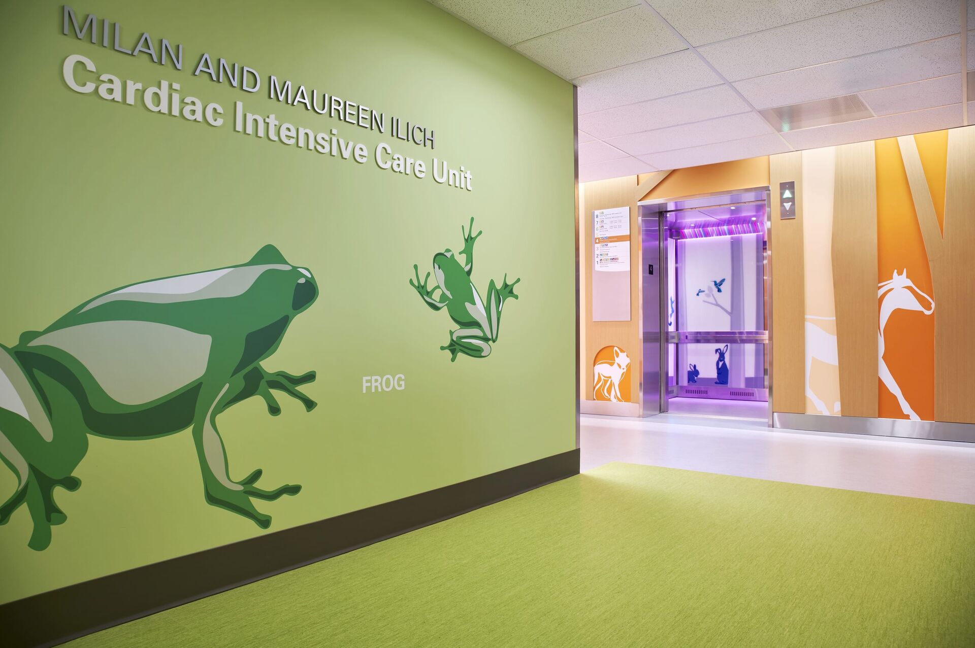 BC Children’s Hospital & BC Women’s Hospital + Health Centre, Teck