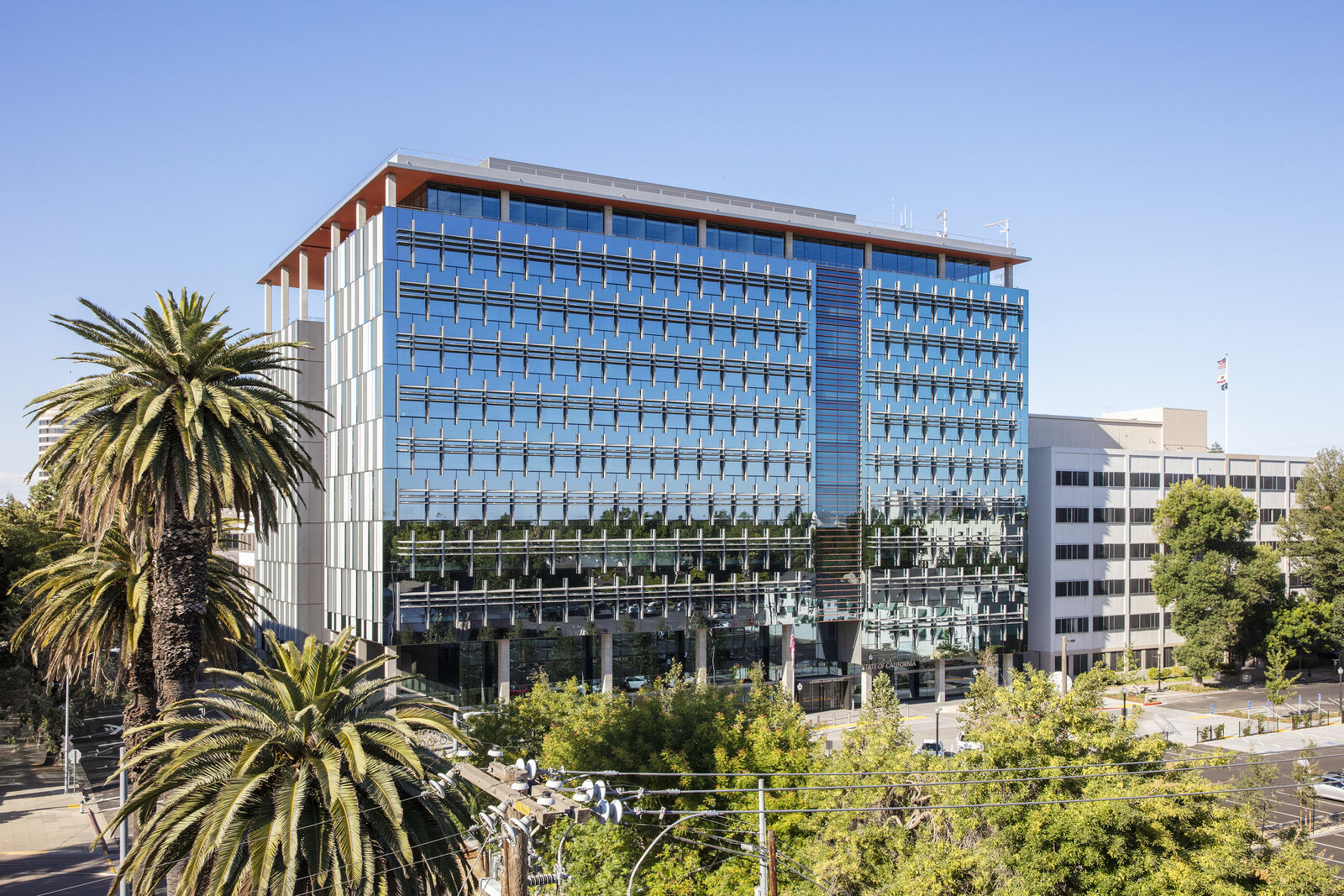 Exterior of building and its windows surrounded by trees